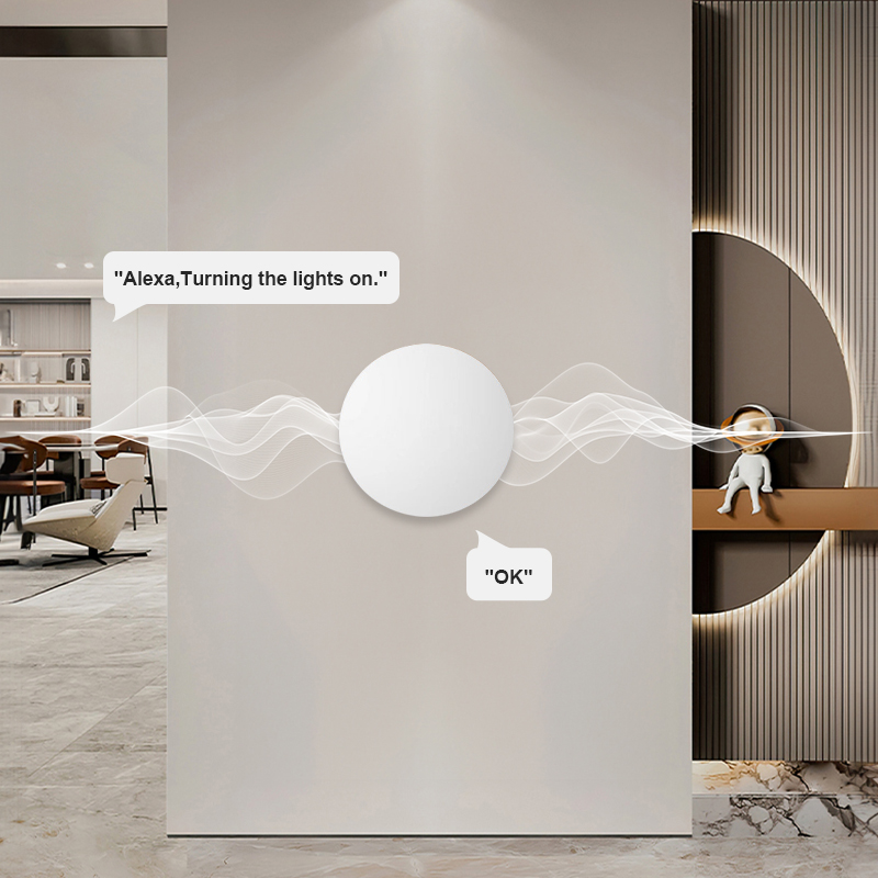 Pulsante Wireless Intelligente - Diy Electronics Button recensione e prezzo